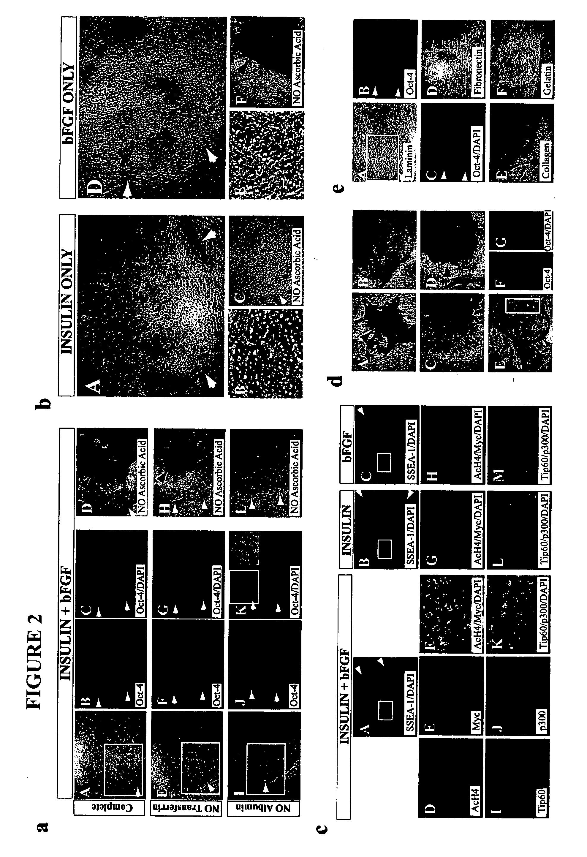 Defined media for pluripotent stem cell culture