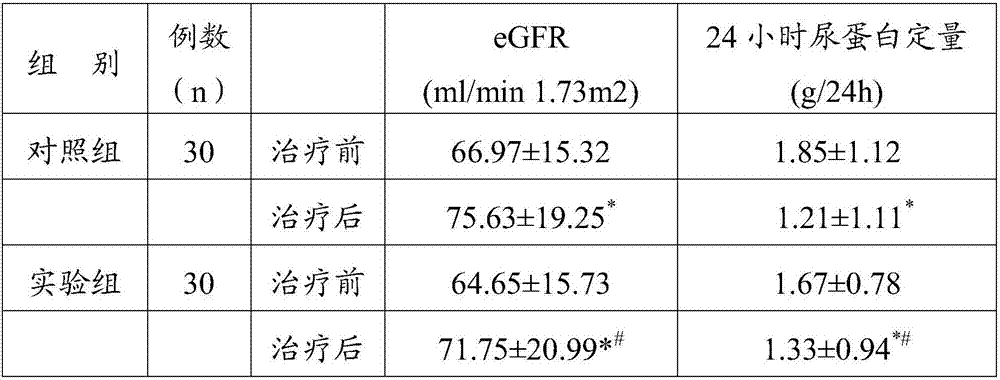 Diabetic nephropathy treating traditional Chinese medicine composition