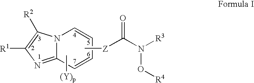 Imidazo[1,2-a]pyridine derivatives: preparation and pharmaceutical applications