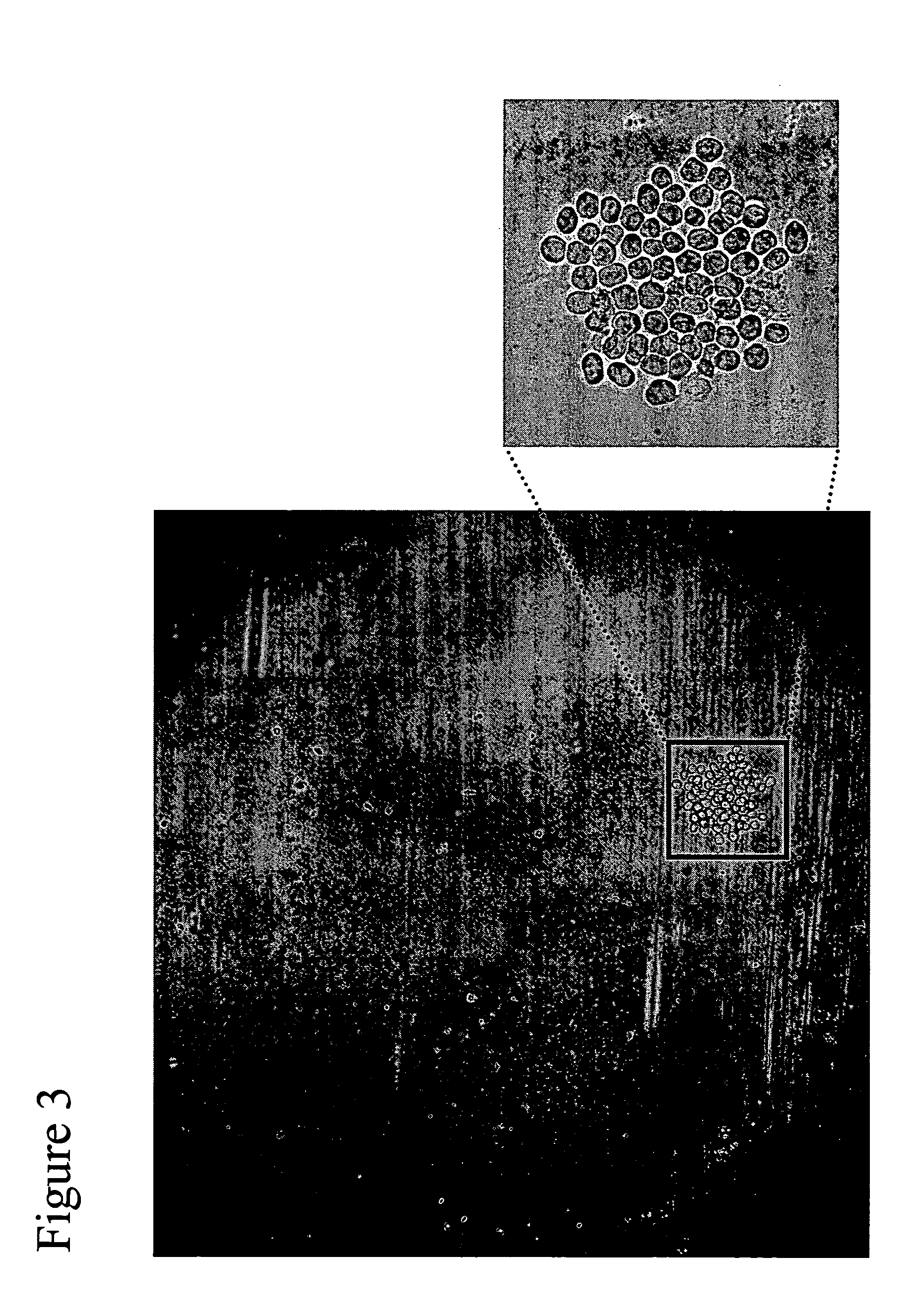 Methods for purification of cells based on product secretion