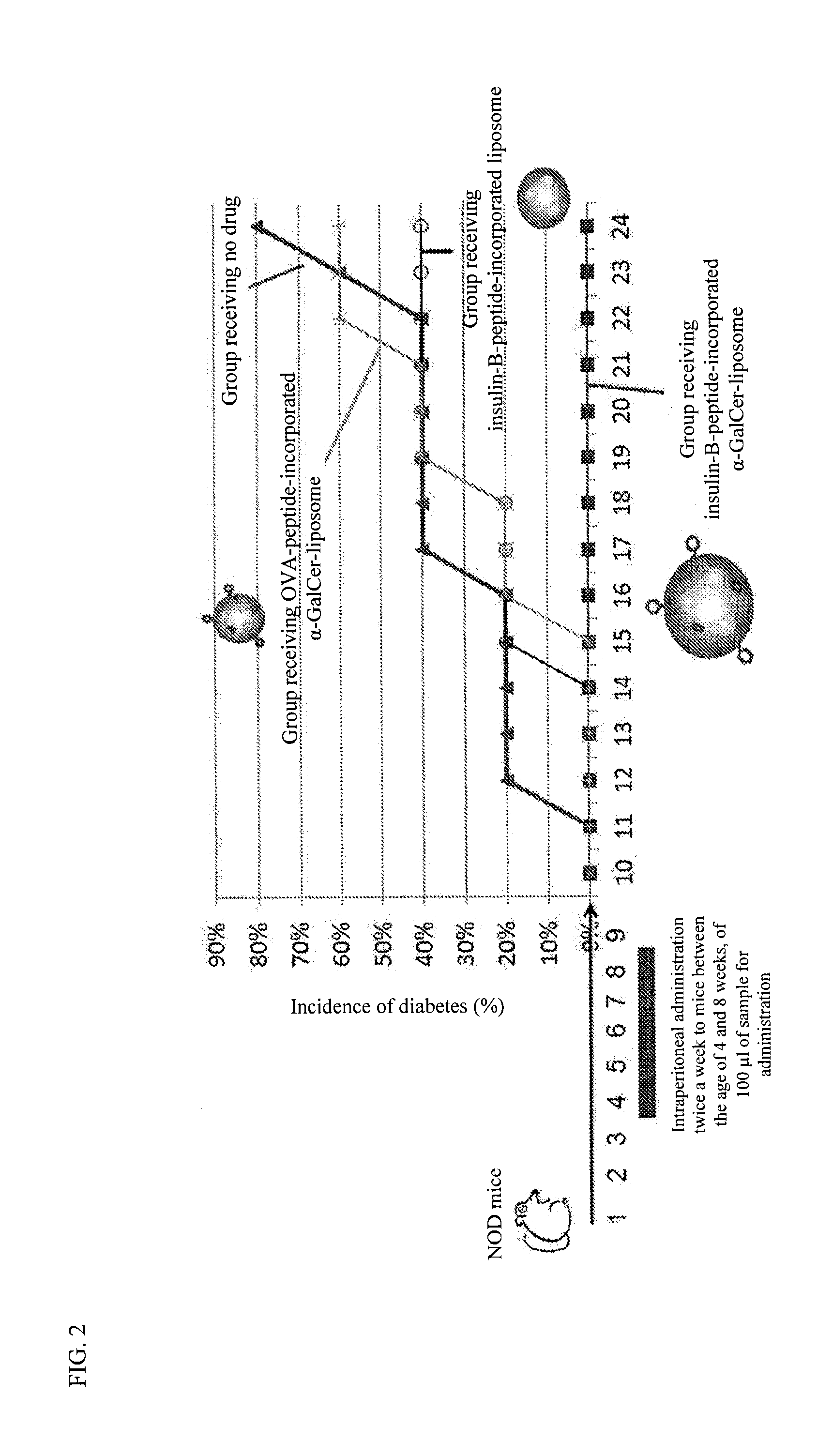 Preparation for preventing or treating type i diabetes