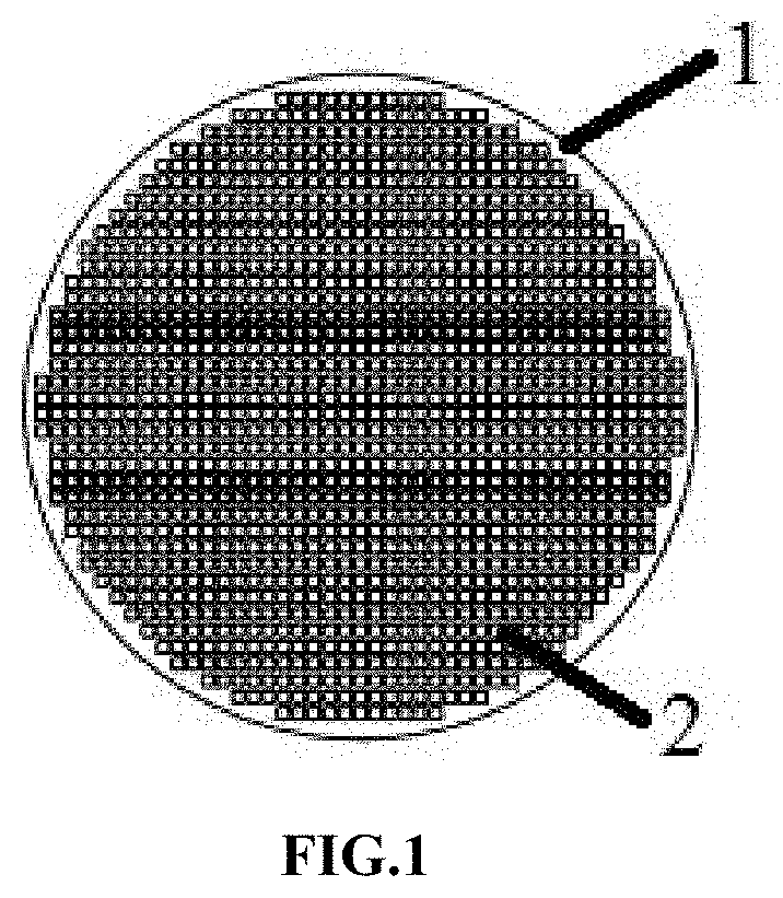 Packed rotating biological contactor and method for ammonia nitrogen conversion based on the packed rotating biological contactor