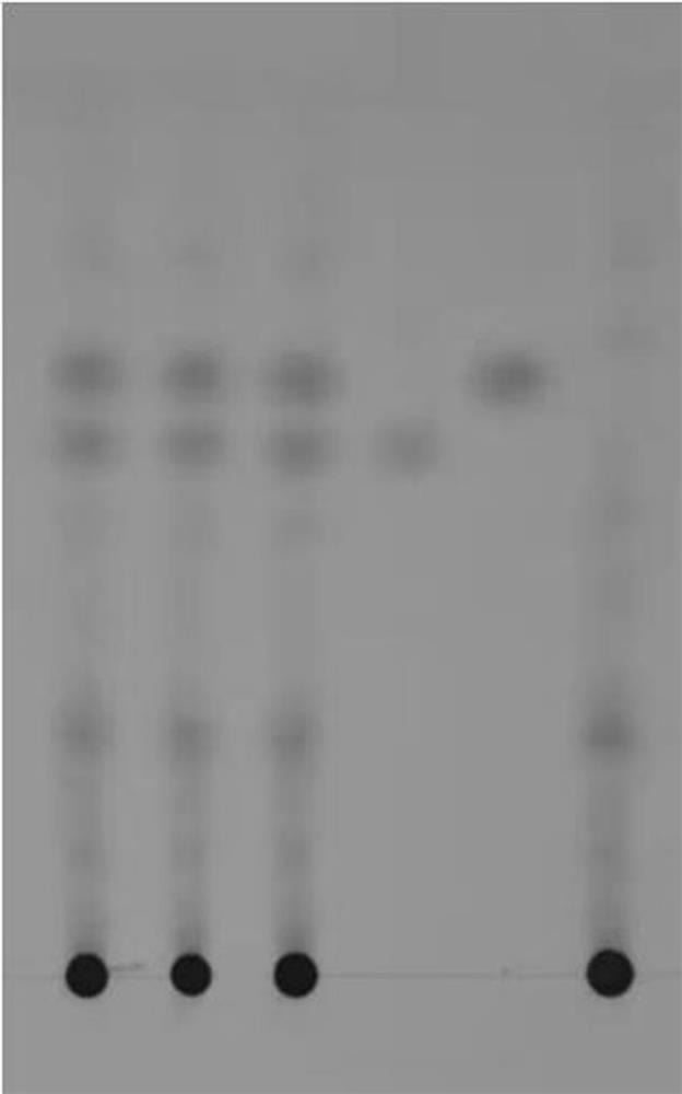 Thin-layer chromatography identification method of rhizoma corydalis stomach'an capsule