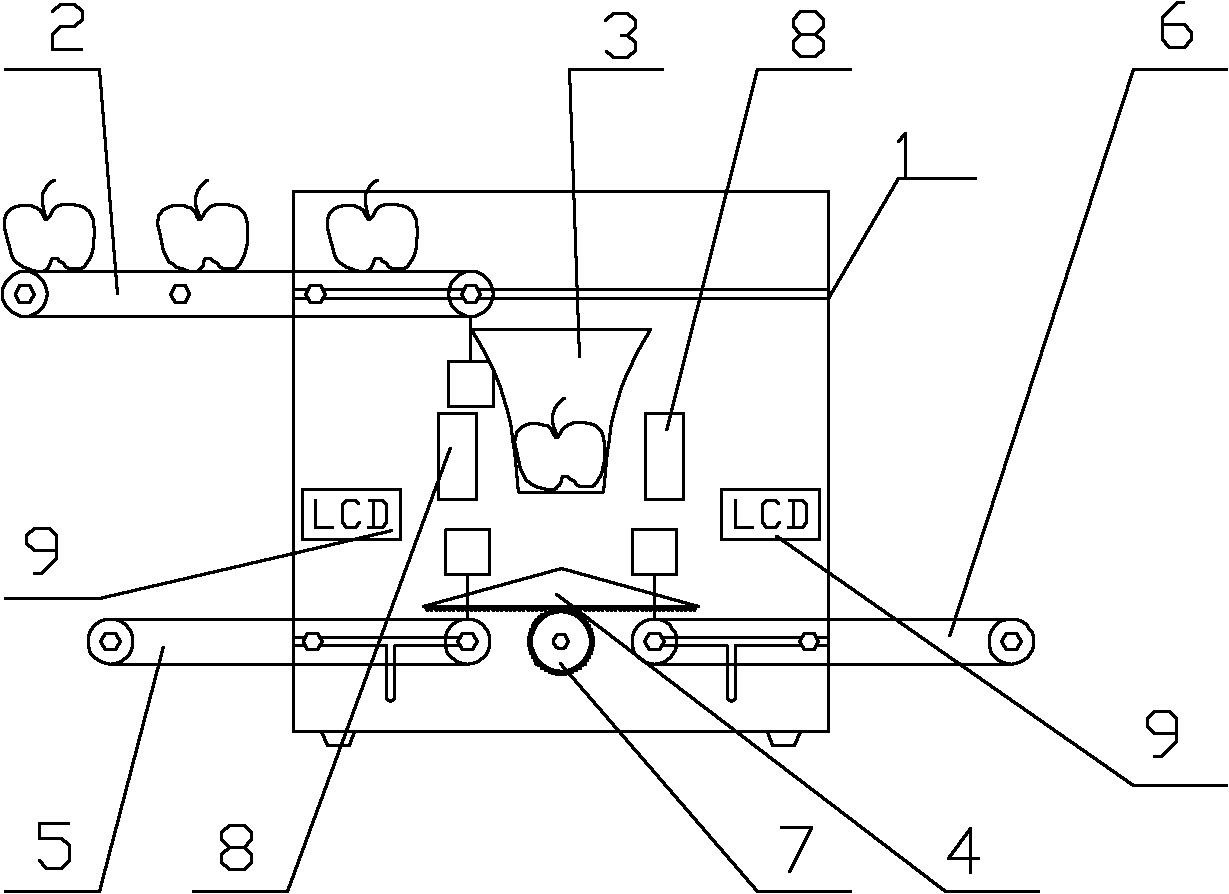 Automatic fruit grading device