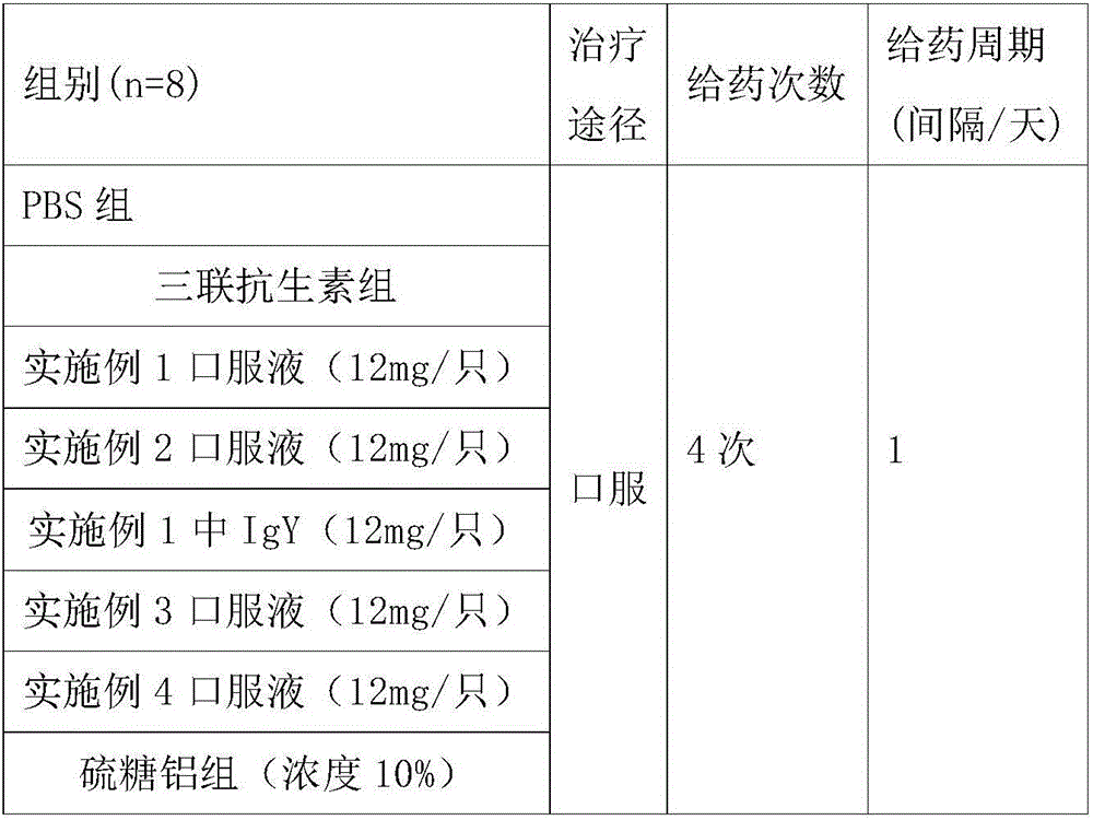 Helicobacter pylori eliminating oral liquid and preparation method thereof