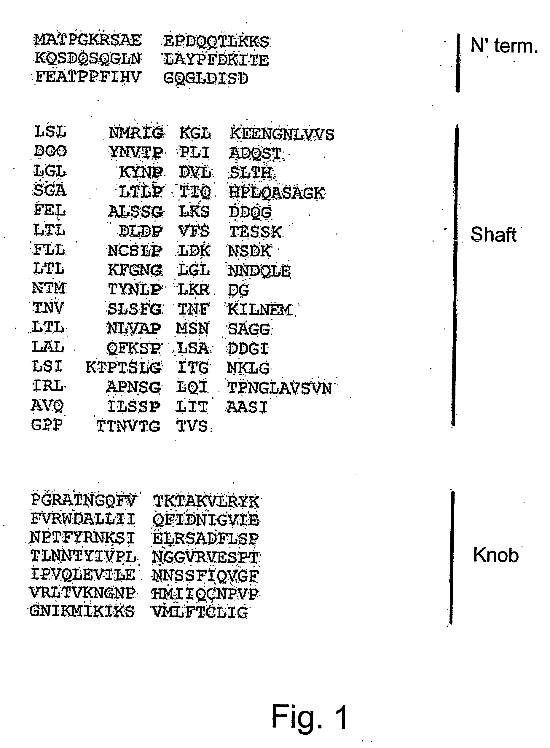 Subunits of the adenovirus fiber protein and uses thereof as vaccines