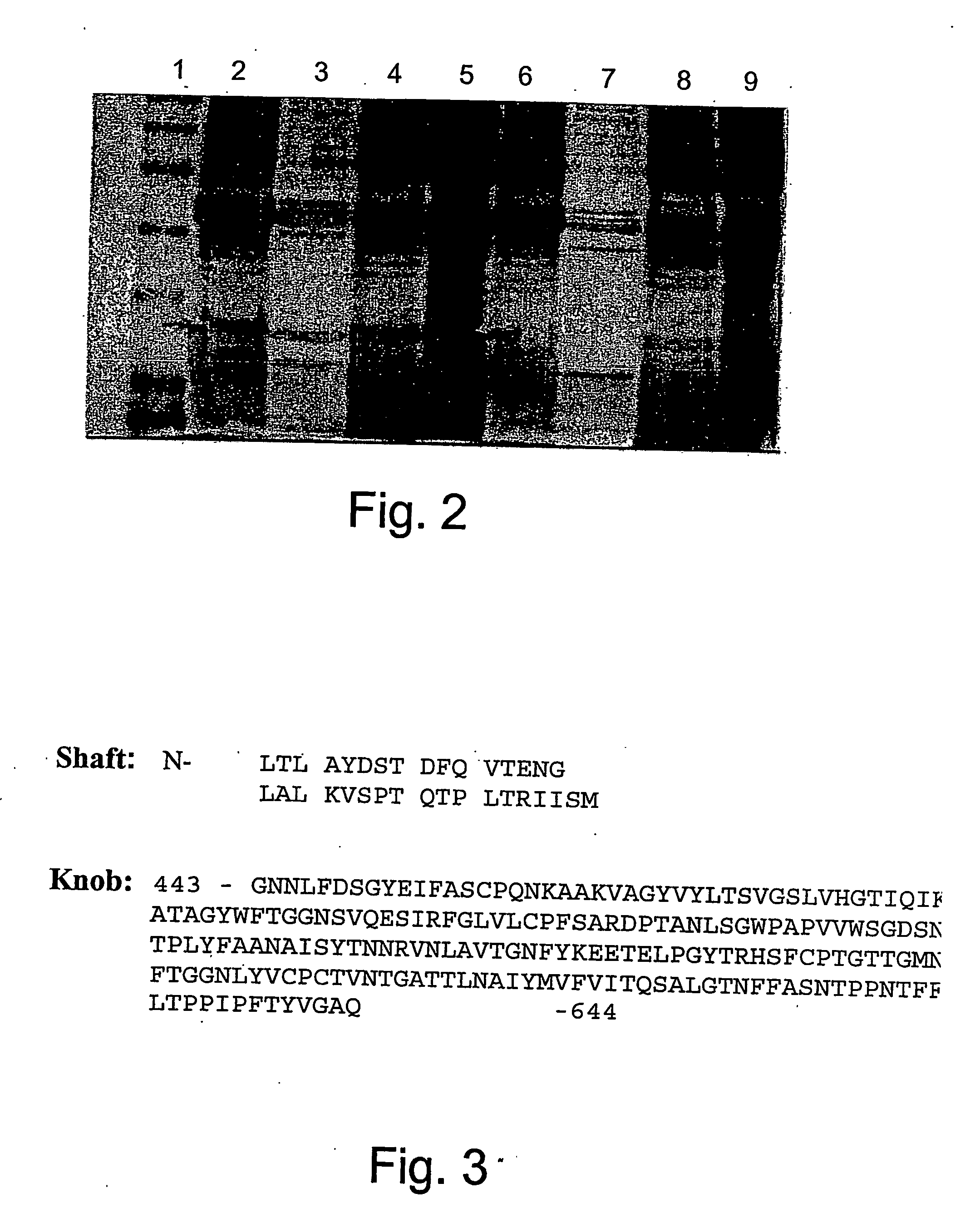 Subunits of the adenovirus fiber protein and uses thereof as vaccines