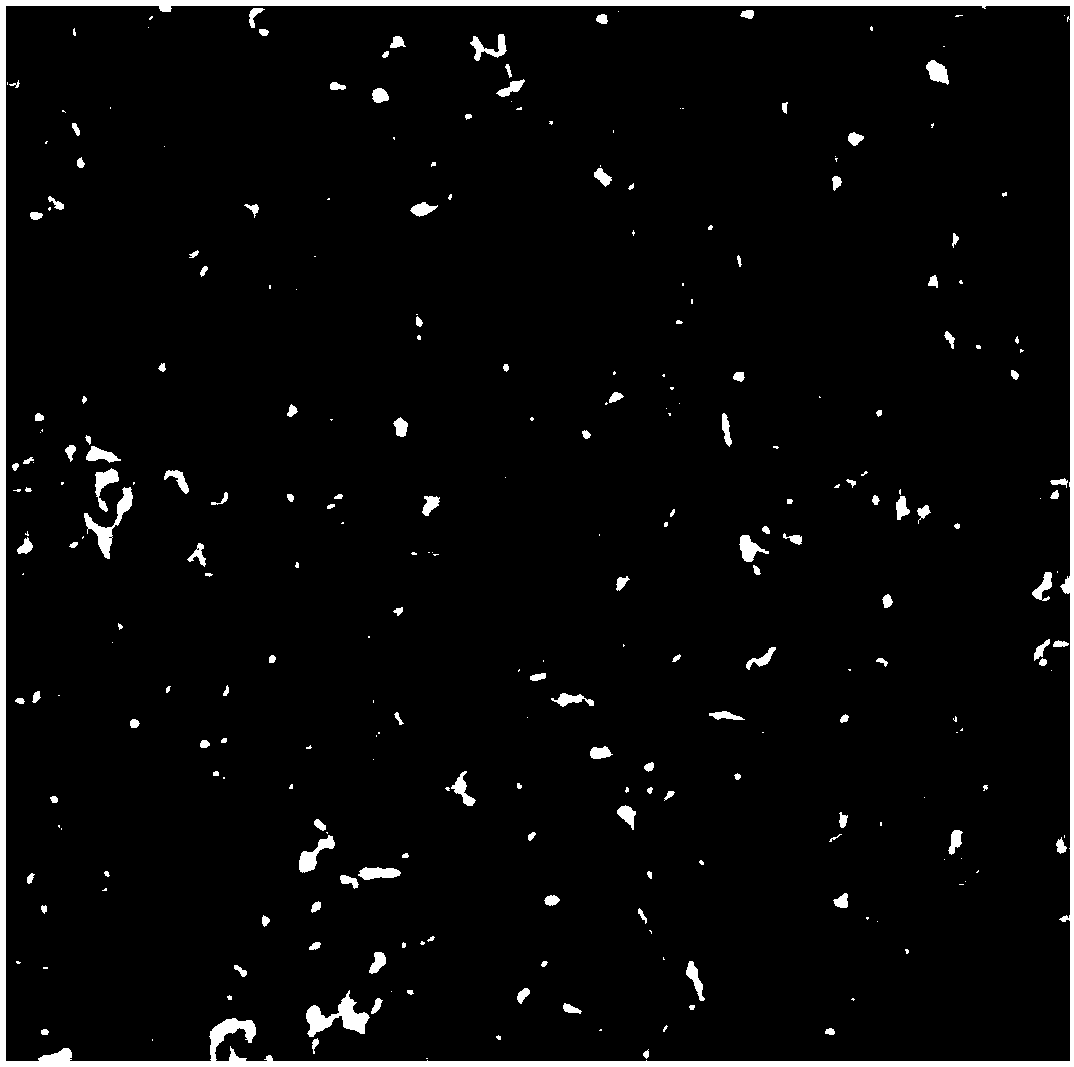 Preparation method and application of cancer marker detecting system based on silver aggregate-polymer and gold nanowire array