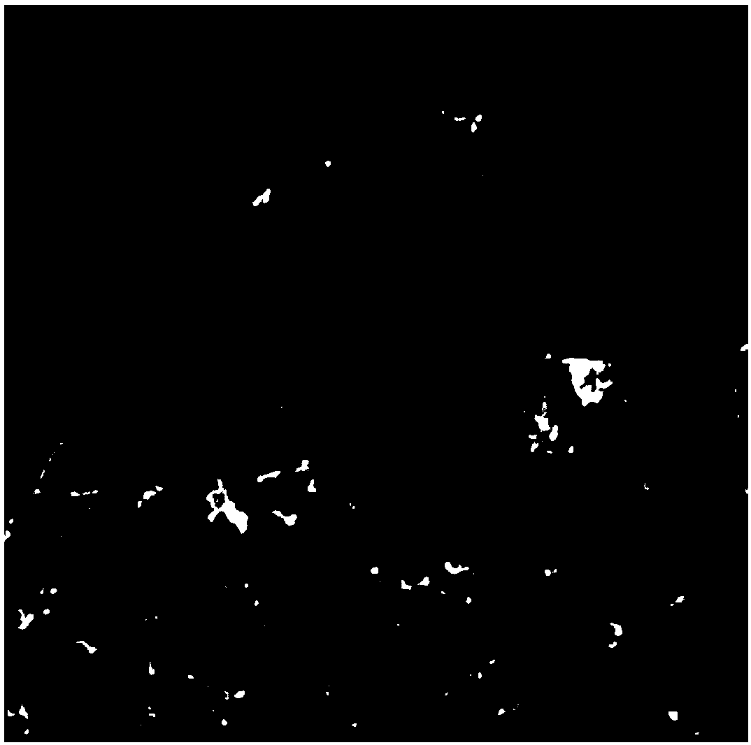 Preparation method and application of cancer marker detecting system based on silver aggregate-polymer and gold nanowire array