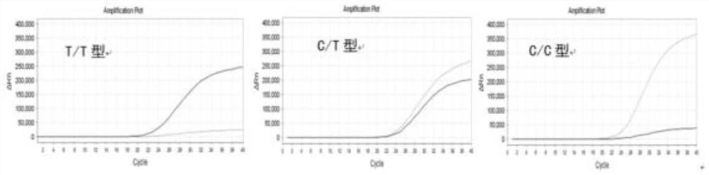 Detection kit for Sildenafil signal channel gene, detection method for detection kit and application of detection kit