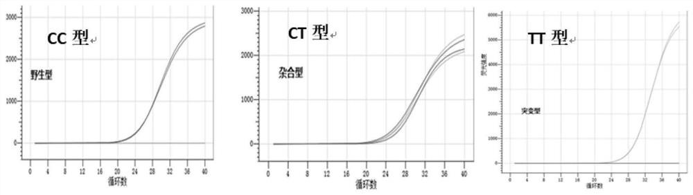 Detection kit for Sildenafil signal channel gene, detection method for detection kit and application of detection kit