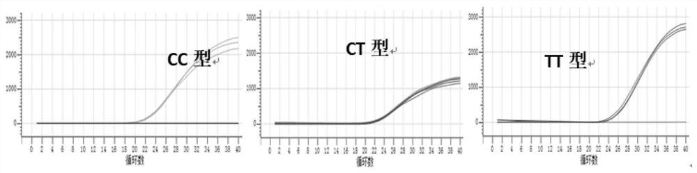 Detection kit for Sildenafil signal channel gene, detection method for detection kit and application of detection kit