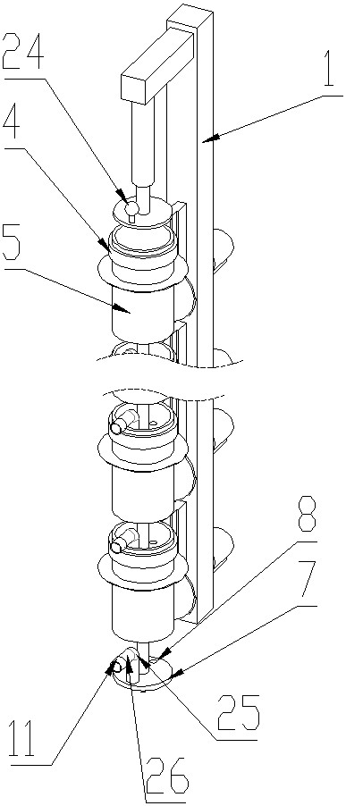 A high-efficiency separation and culture device for actinomycetes