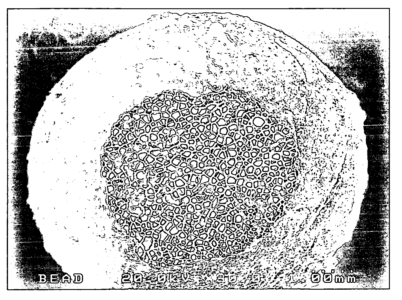 Expanded polystyrene bead having functional skin layer, manufacturing process thereof, and functional EPS product and manufacturing process thereof using the same