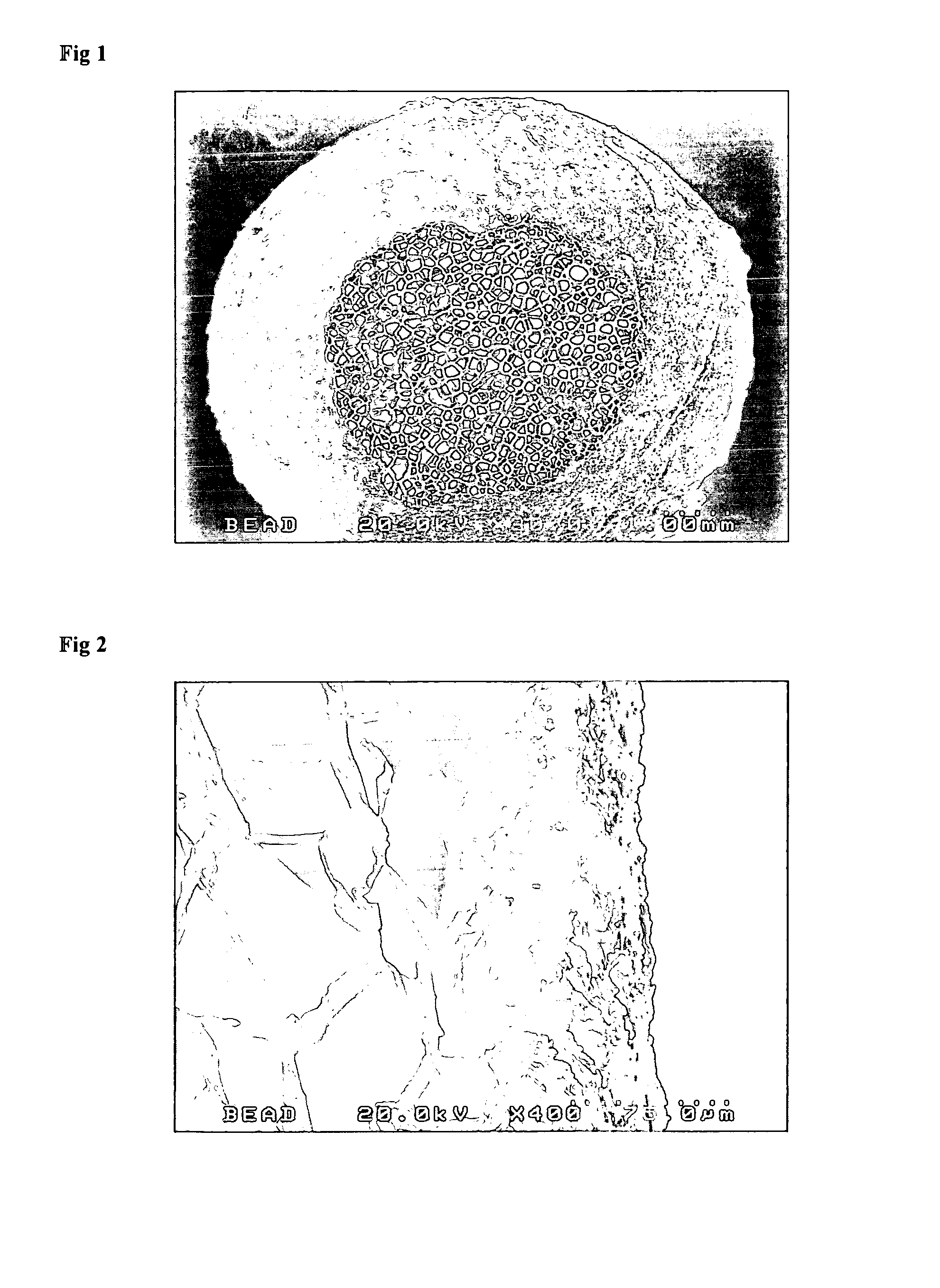 Expanded polystyrene bead having functional skin layer, manufacturing process thereof, and functional EPS product and manufacturing process thereof using the same