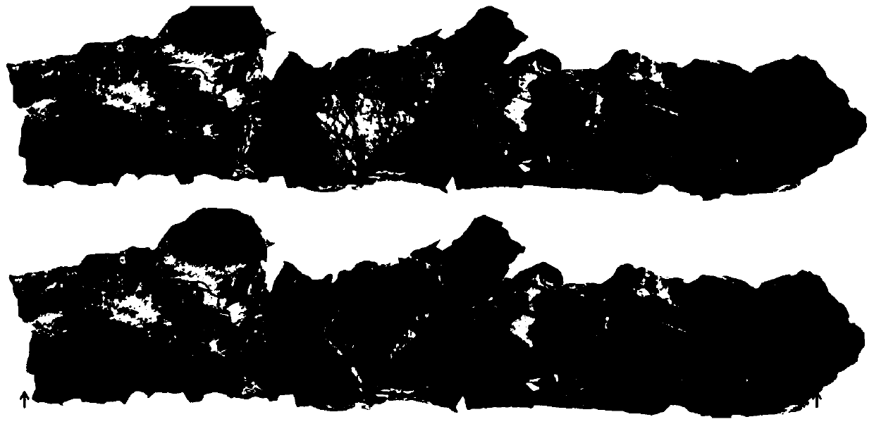 Rapid logging method for high cut slope geology based on three-dimensional point cloud reconstruction technology