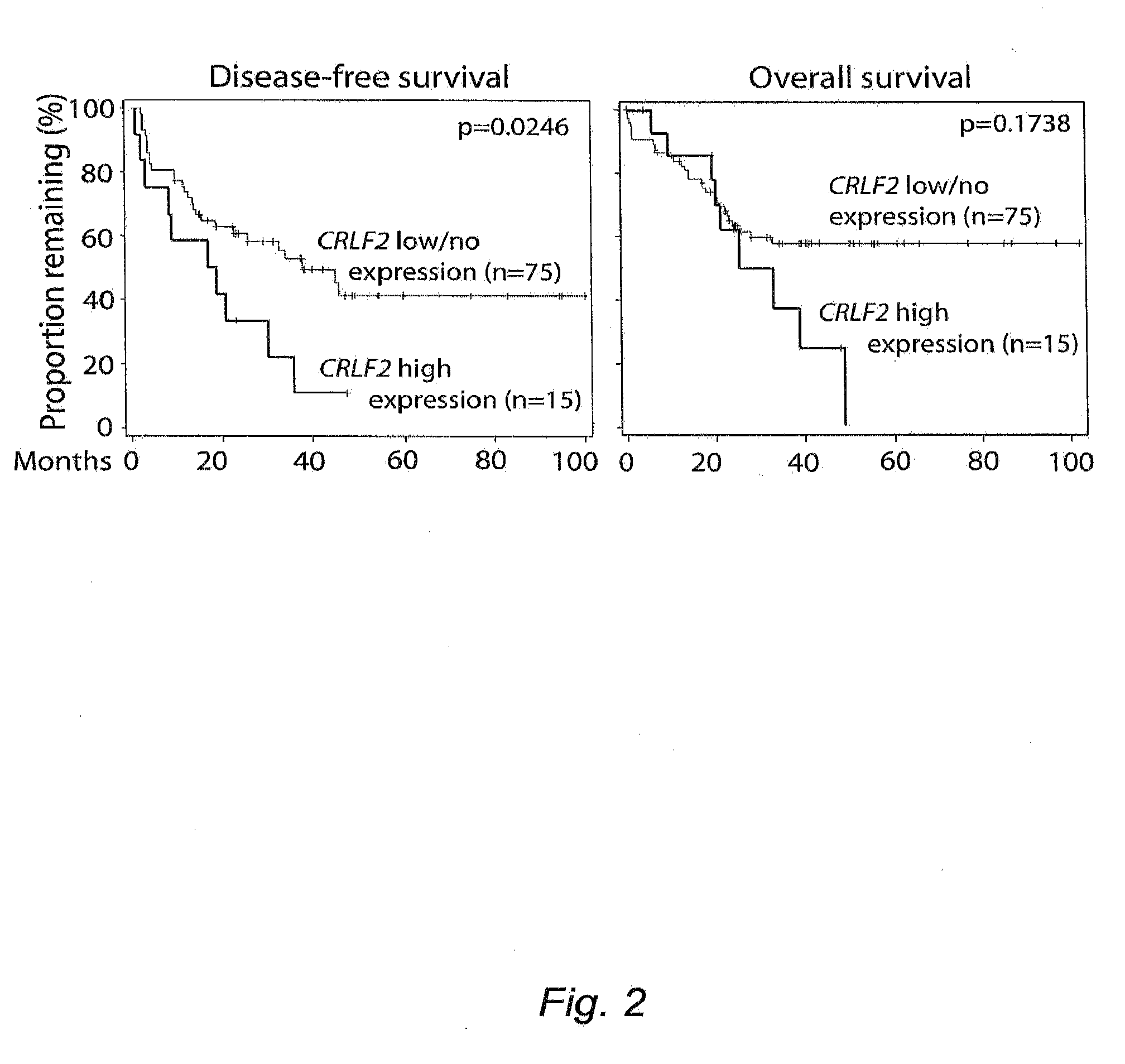 Crlf2 in precursor b-cell acute lymphoblastic leukemia