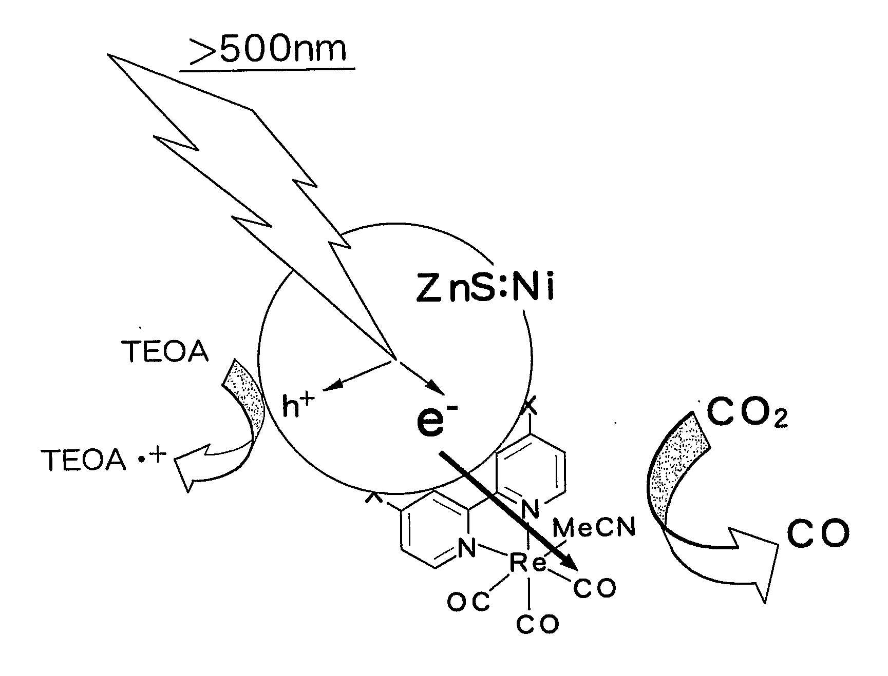 Photocatalyst and reducing catalyst using the same