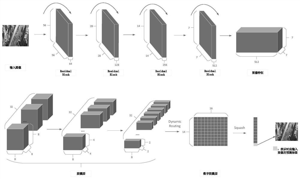 A Rice Pest Identification Method Based on Improved Residual Network