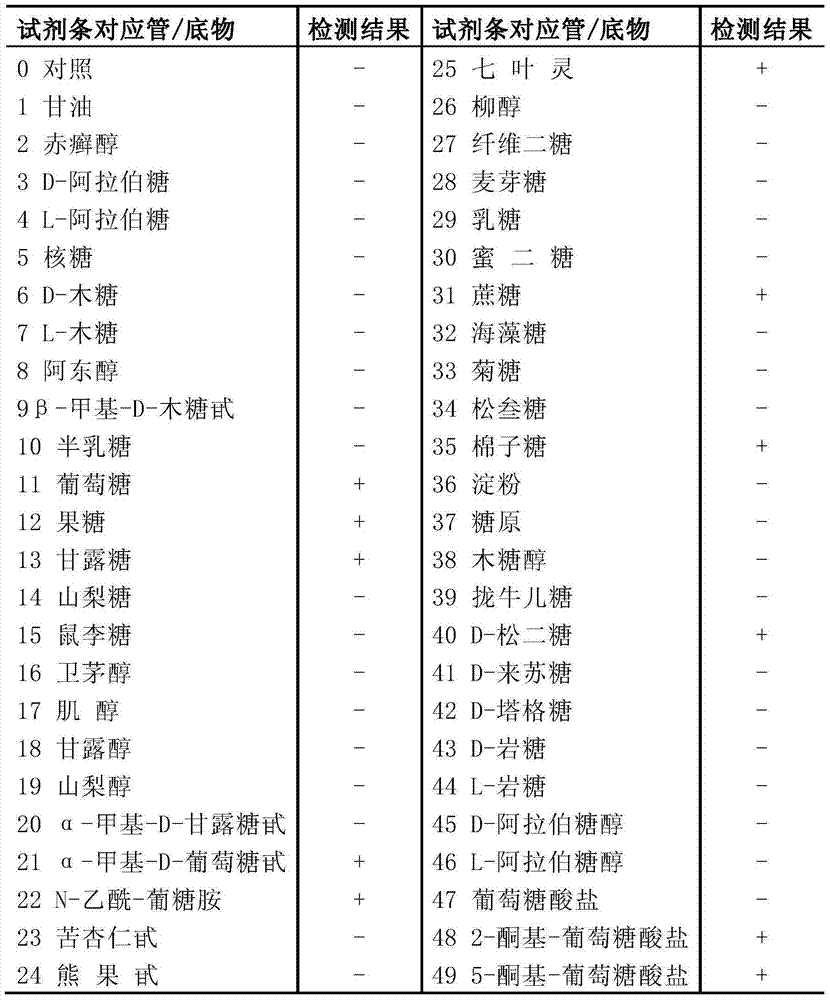 Sporolactobacillus terrae and application thereof