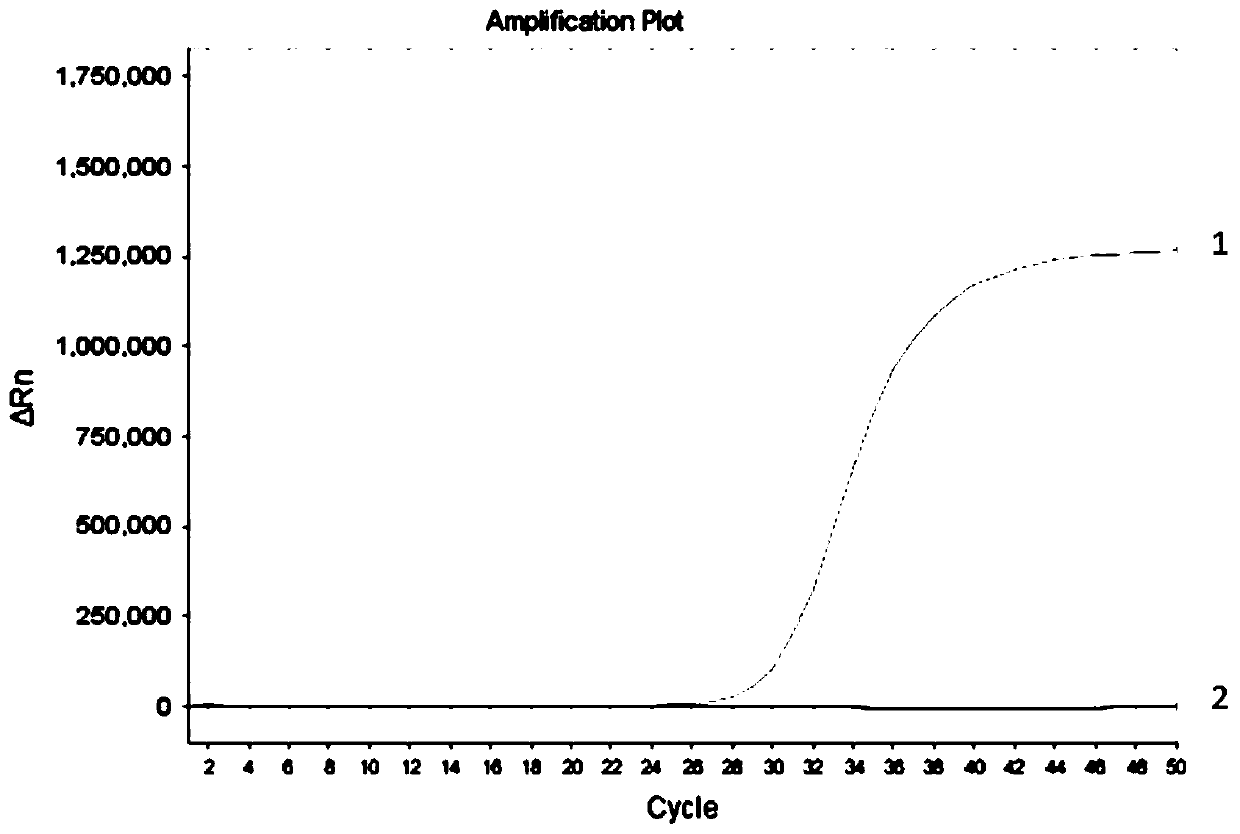 Methylation detection kit for nasopharyngeal carcinoma related genes DACT1, NFAT1 and SHISA3