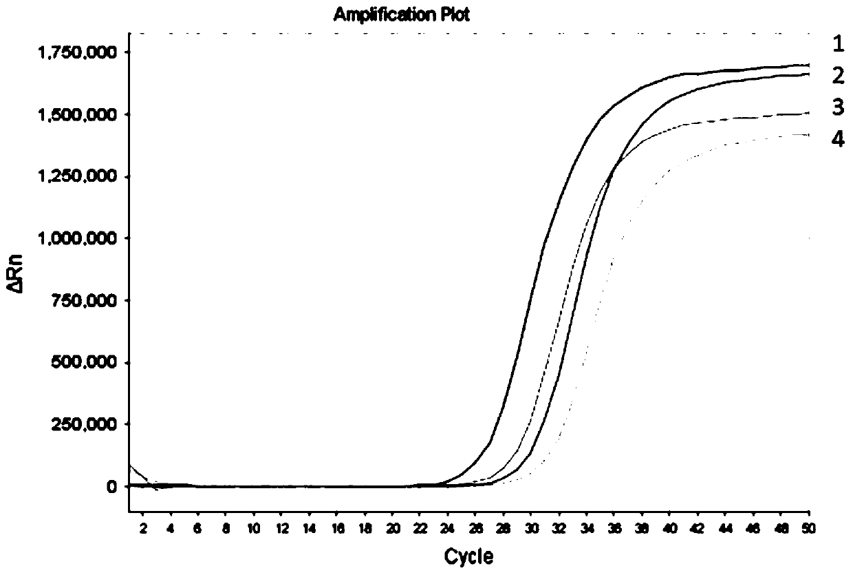 Methylation detection kit for nasopharyngeal carcinoma related genes DACT1, NFAT1 and SHISA3