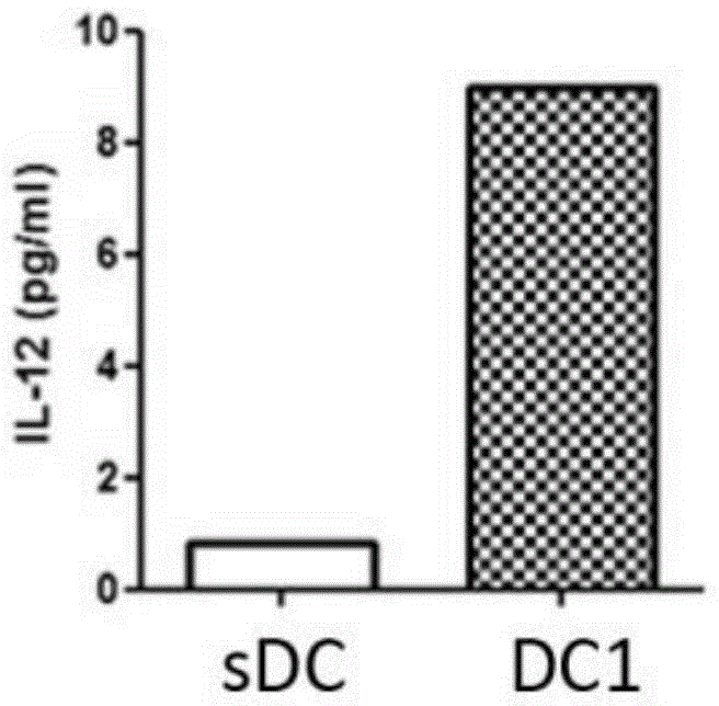 Kit for activating colorectal cancer specific immunity response