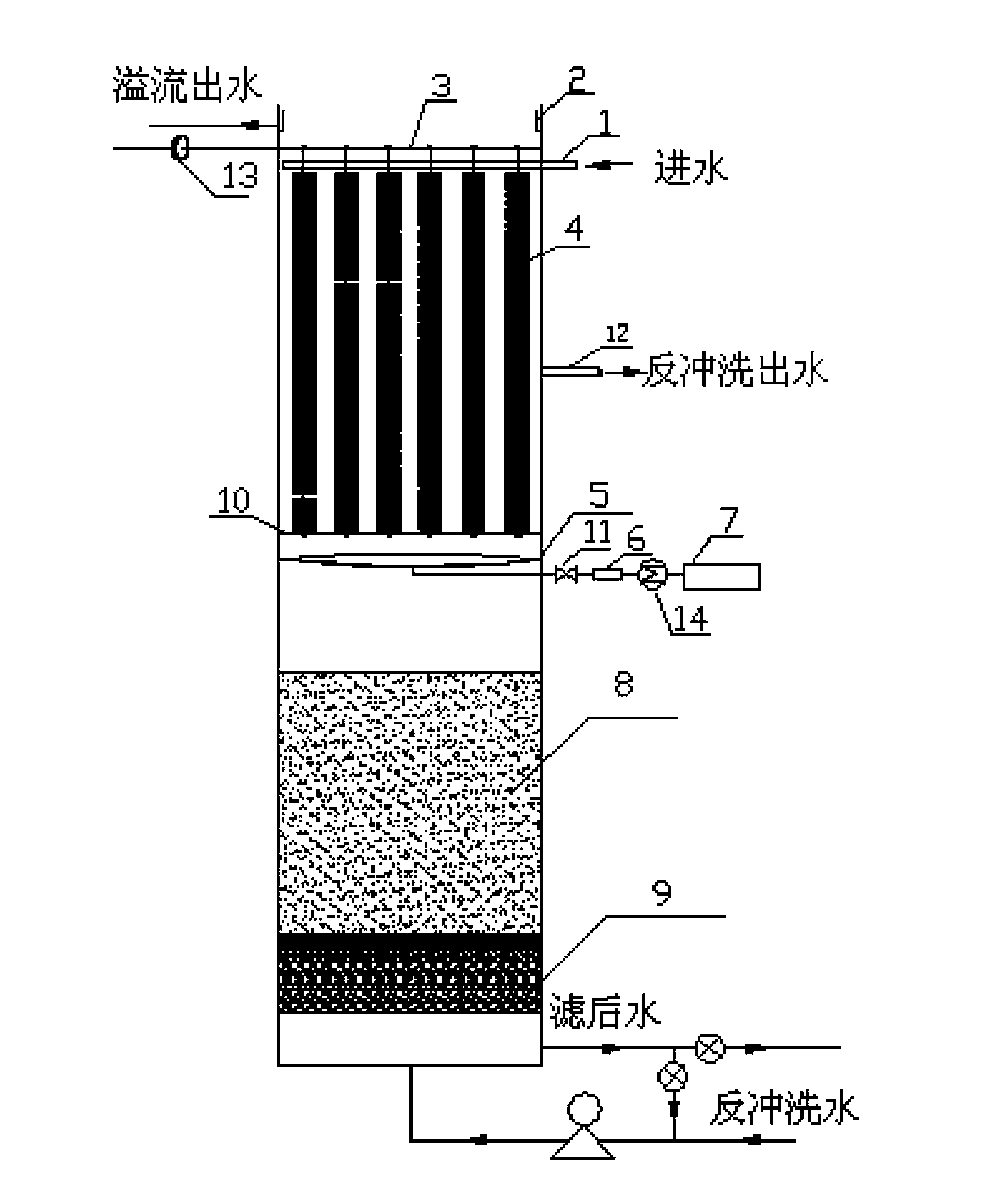 Reactor and method for removing ammonia nitrogen in drinking water by virtue of enhanced filter and method thereof