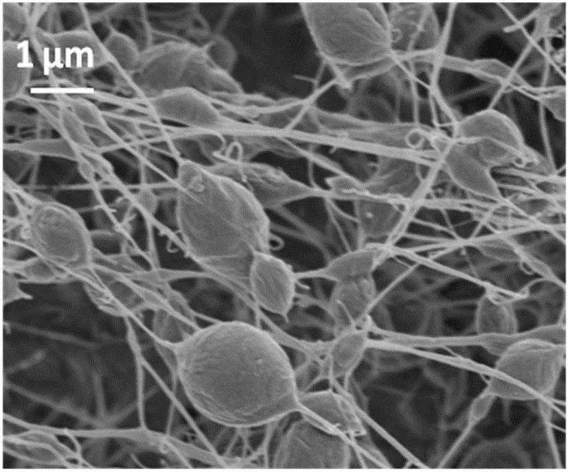 Beaded ultrafine fiber material with bead morphology and preparation method thereof