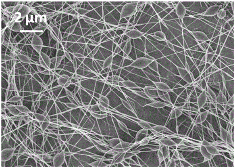 Beaded ultrafine fiber material with bead morphology and preparation method thereof