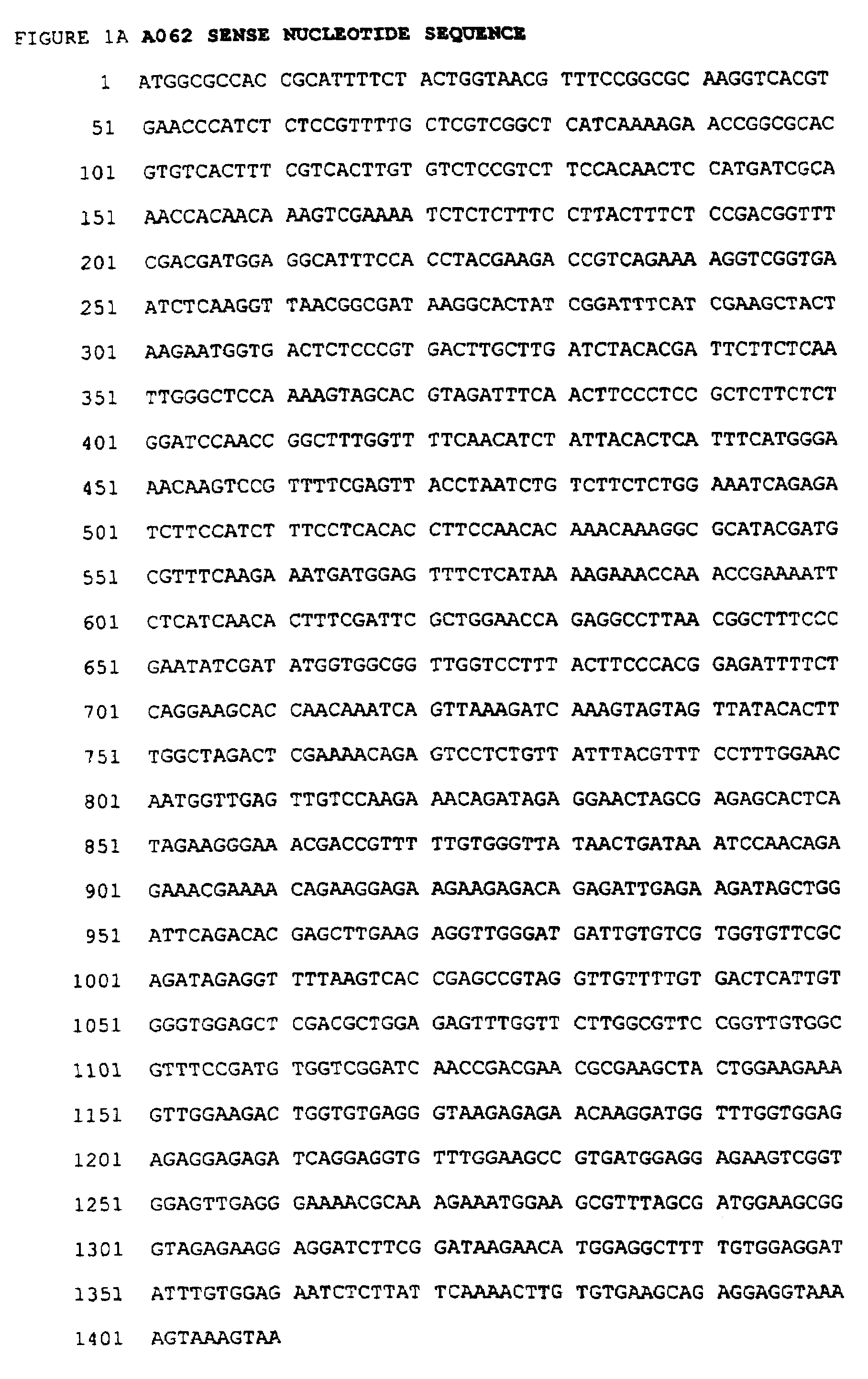 Transgenic cells expressing glucosyltransferase nucleic acids