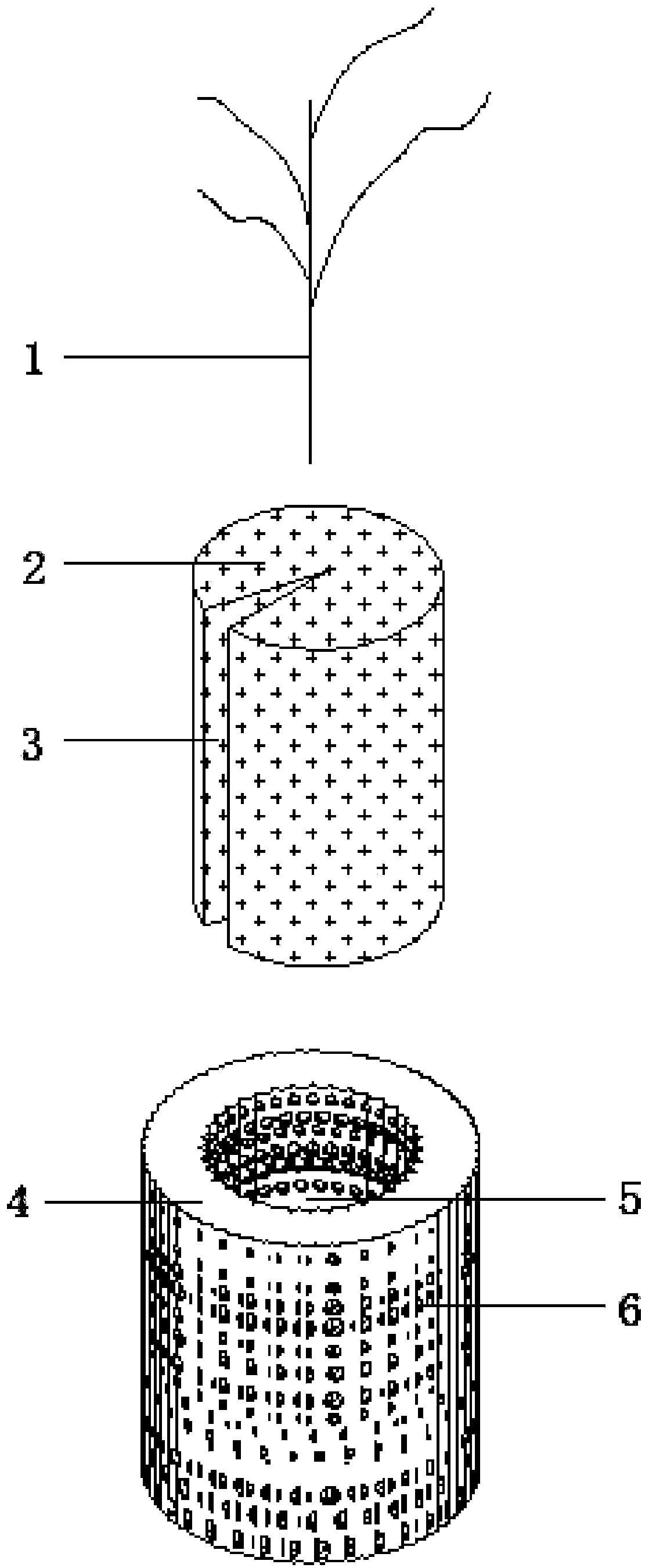 Planting device and grouping system using lake deep-water submerged plants to replace alien species