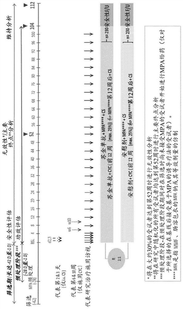 Methods of treating lupus nephritis using interleukin-17 (IL-17) antagonists