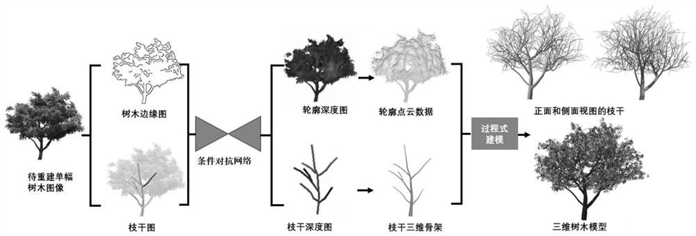 Tree modeling method and tree modeling device based on single image and equipment