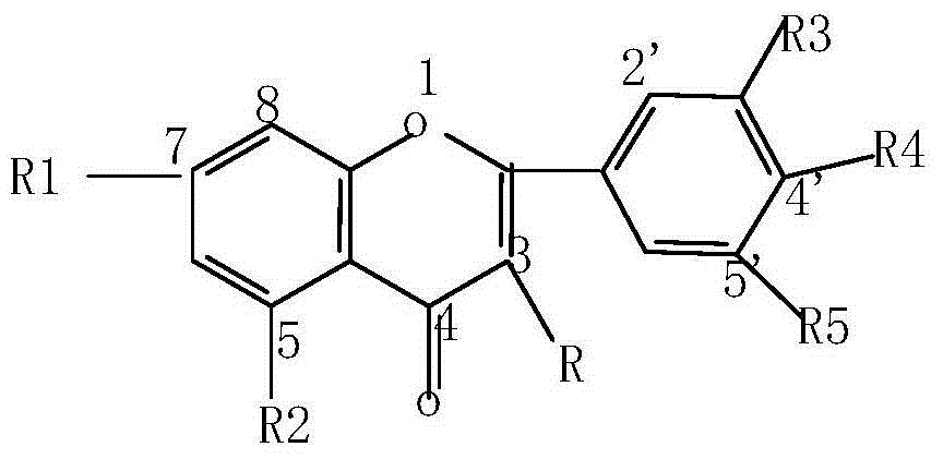 Preparation and application of flavonol as brain-targeting synergist