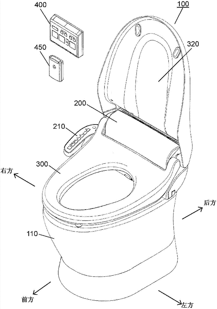 Sanitary cleaning device