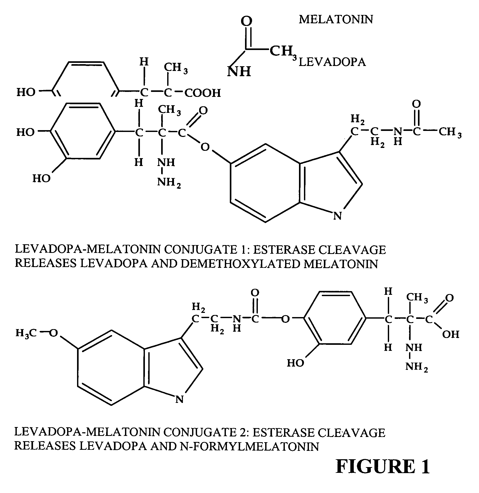 Convalent conjugates of biologically-active compounds with amino acids and amino acid derivatives for targeting to physiologically-protected sites