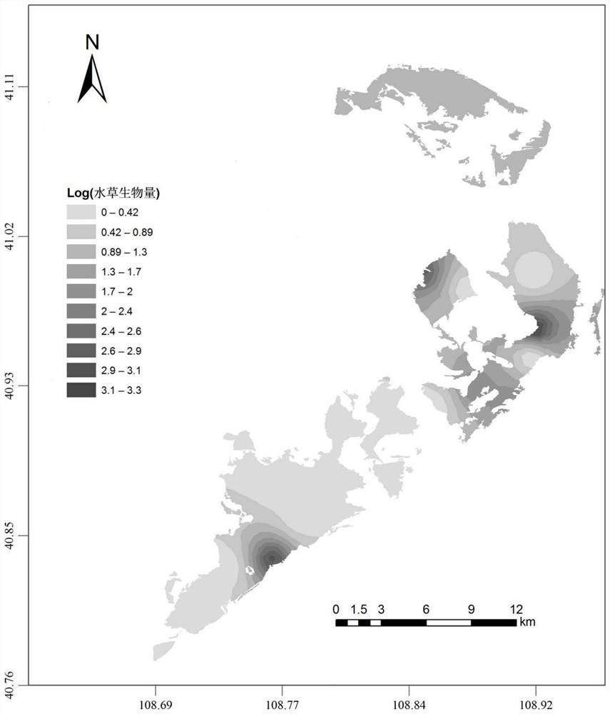 Prediction method for algal blooms of filamentous algae attached to aquatic plants