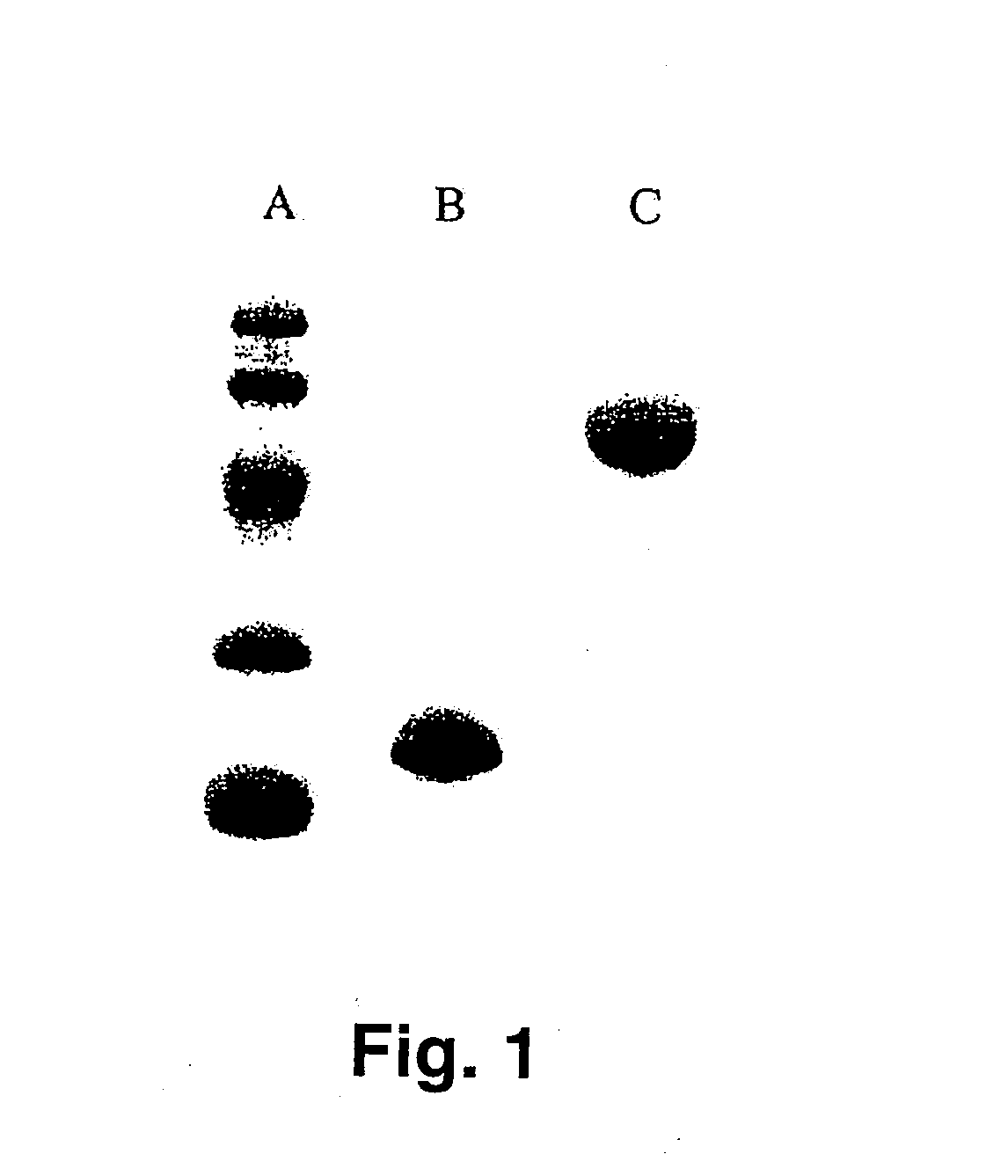 Polyalkylene Polymer Compounds and Uses Thereof