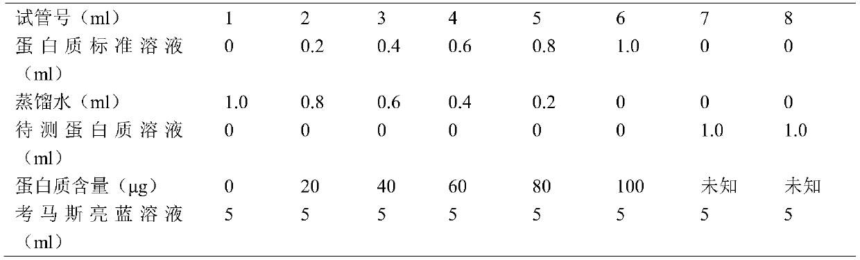 Preparation method and application of scallop edge whitening peptide