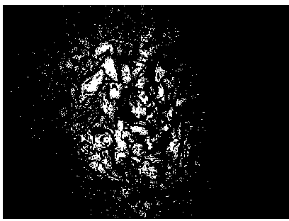 Steel plate resistant to sulfuric acid dew point corrosion and manufacturing method for steel plate