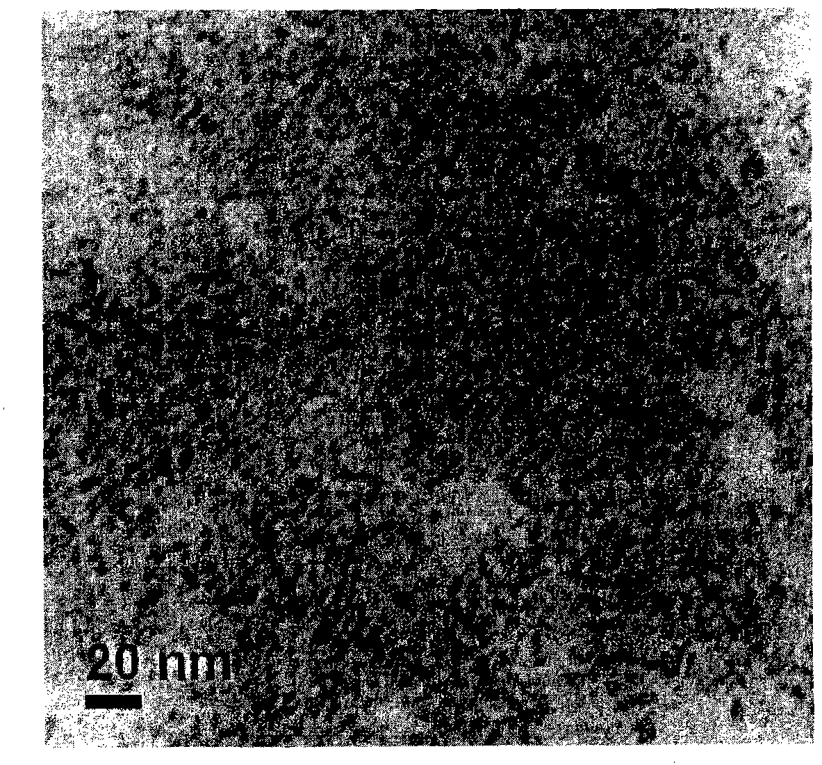 Method for preparing quantum dot immune fluorescent probe