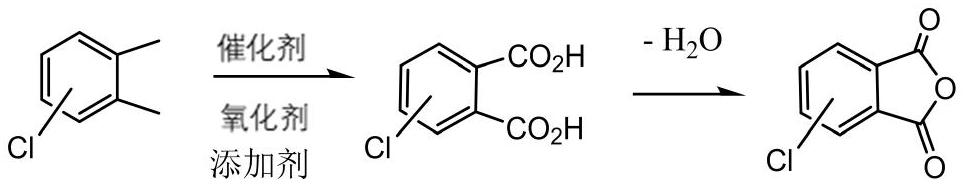 Method for preparing chlorophthalic anhydride through solvent-free liquid-phase catalytic oxidation