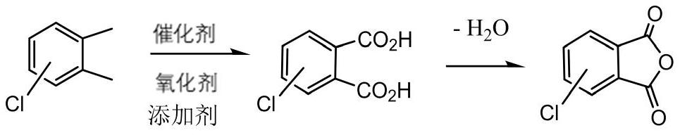 Method for preparing chlorophthalic anhydride through solvent-free liquid-phase catalytic oxidation