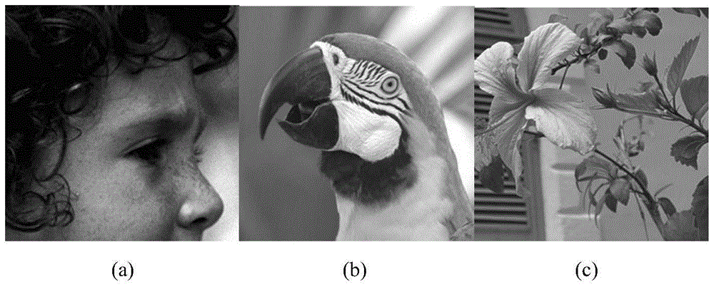 Image Super-resolution Reconstruction Method Based on Multilayer Support Vector Regression Machine Model