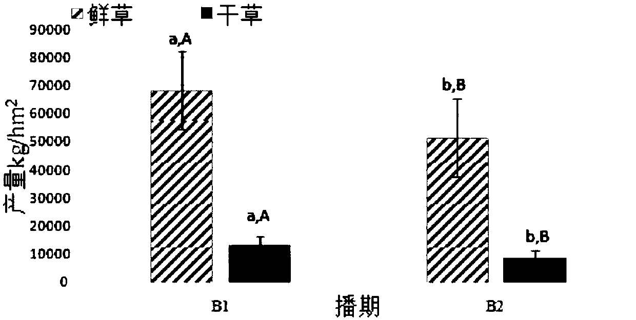 Cultivation method for high-yield oat forage grass sown in winter