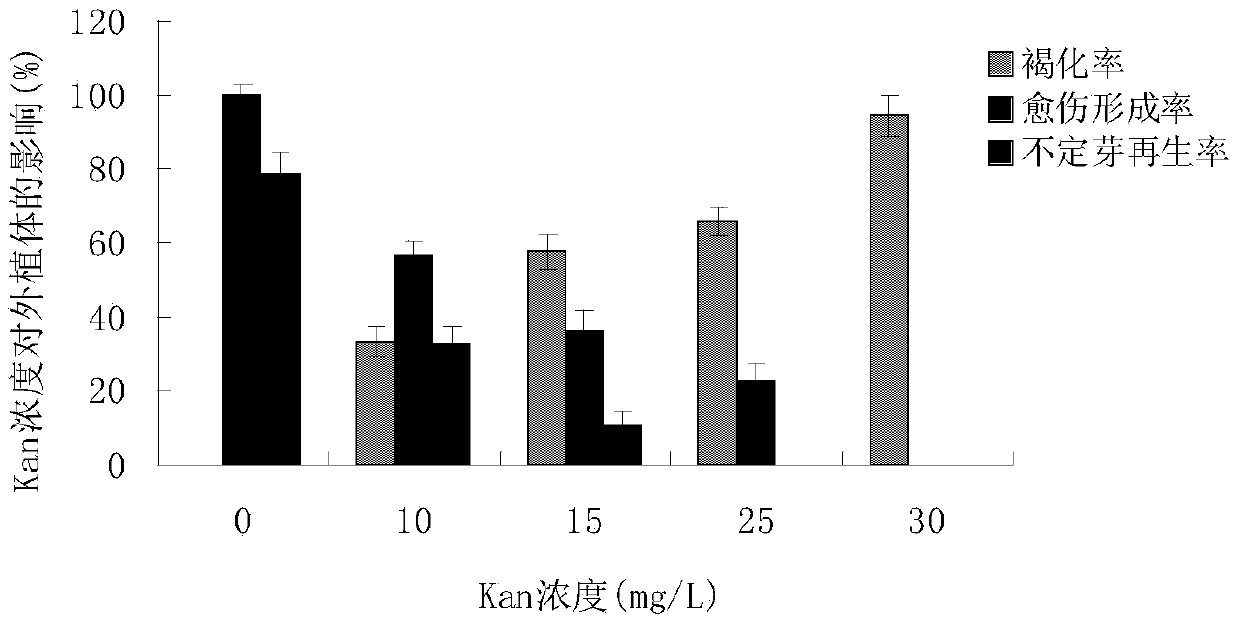 Efficient, rapid and stable genetic transformation method for strawberries