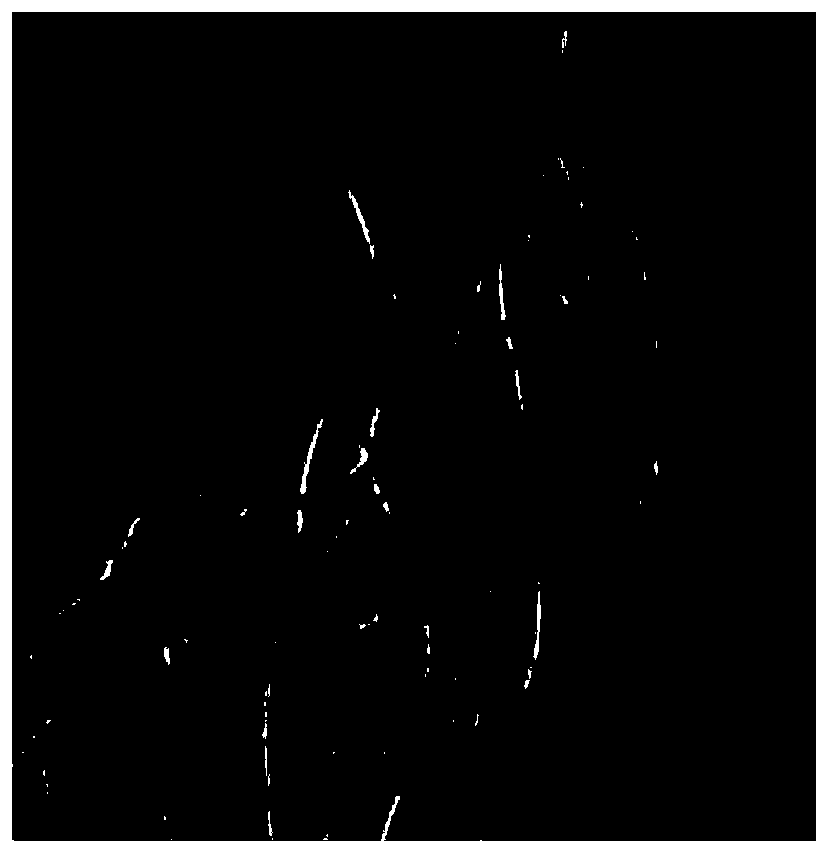 Fusarium redolens fungus HNU066 and application thereof in degradation of hydrogen sulfide containing exhaust gas