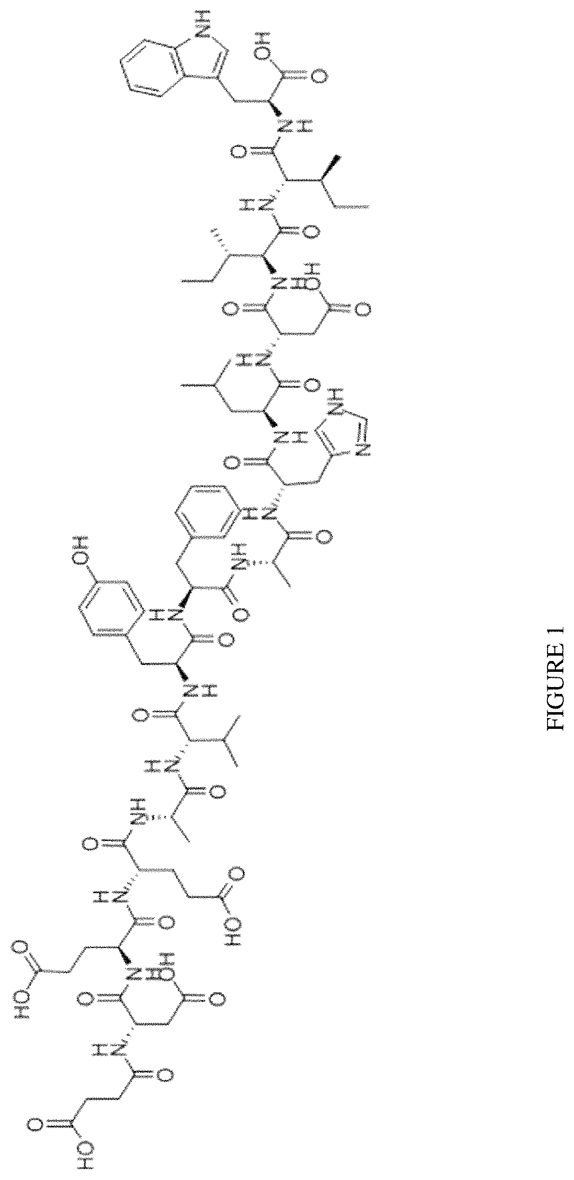 Compositions and methods for treating neuropsychiatric disorders using an endothelin-B receptor agonist