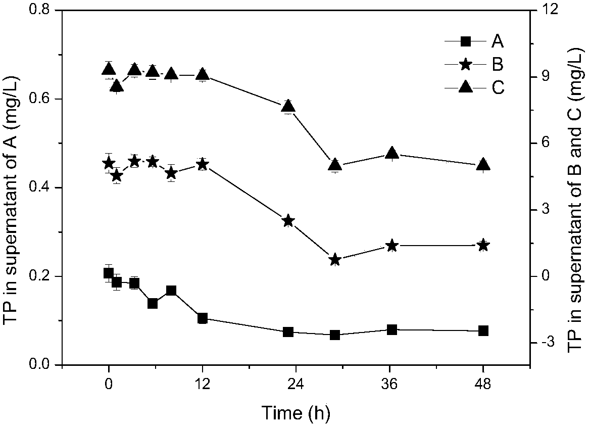 Application of Pseudoalteromonas in Preparation of Nanomaterials